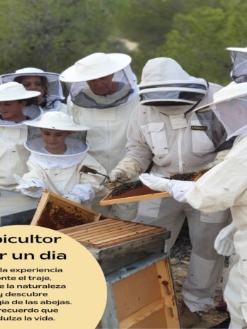 Apicultor por 1 día